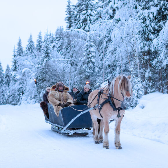 Bilde av en fjording som drar slede i vinterlandskap