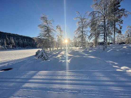 Vakkert vinterlandskap med skiløyper og sol