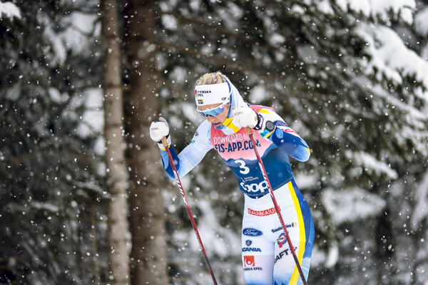 Photo : Nordic Focus