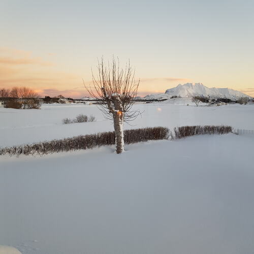 Vinterlandskap på Tenna. (Foto: Berit Johansen Aarseth)