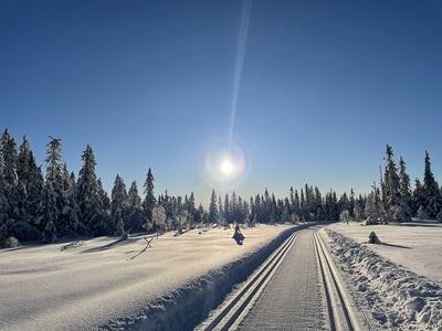 Skiløyper i snødekt landskap og sol fra skyfri himmer.