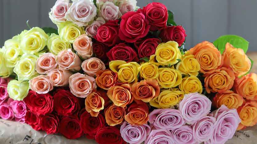 Vi feirer kvinnedagen med <p/> fargerike blomster