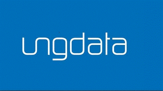 ungdata logo