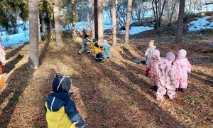 Bilde av barn som leker i skogen