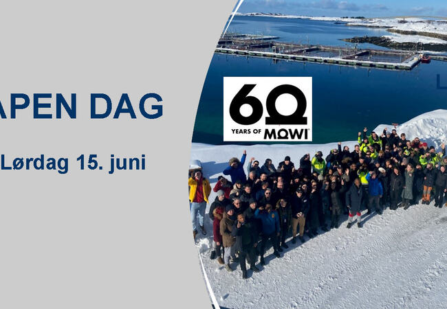 Hovedbilde 60 års markering