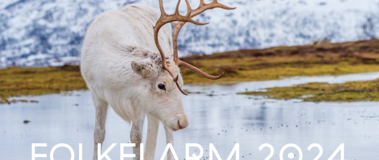 Vassvik/Silvola /Strype folkelarm 2024