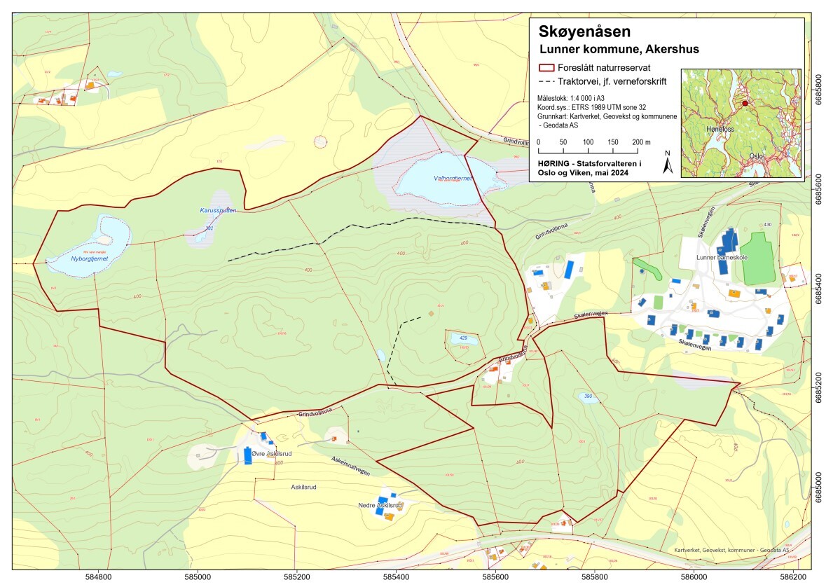 Kartutsnitt Skøyenåsen