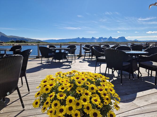 Høysommer. (Foto: Elsa Jakobsen)