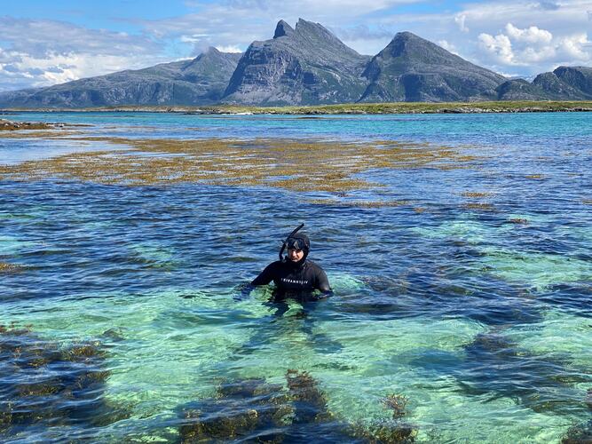 Dykking på Herøy. (Foto: Janne Kværne)