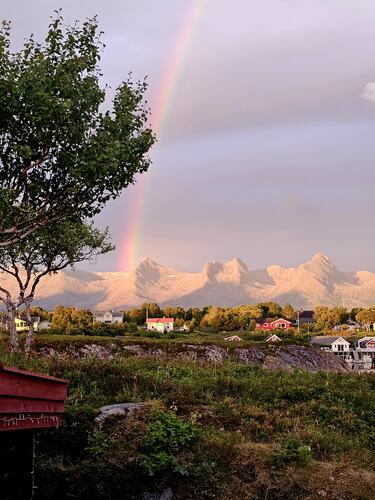 Fargebonansa i Herøysundet. (Foto: Oddbjørn Lorvik)