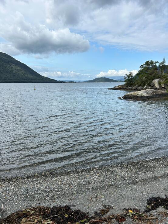 Rein Hardangerfjord 2024. Foto: Kvinnherad kommune