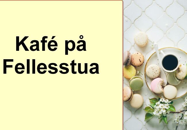 Kafe på Fellesstua 29