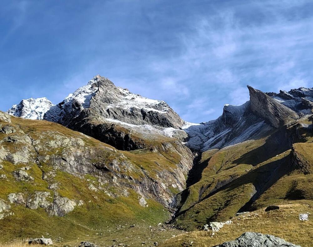 TRAIL PETIT SAINT BERNARD