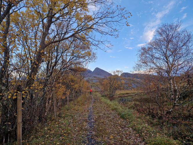 Høsten er fin. (Foto: Elsa Jakobsen)