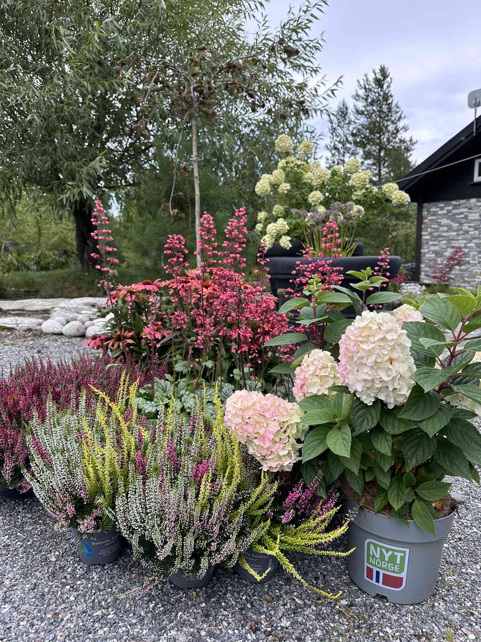 Høstplanter