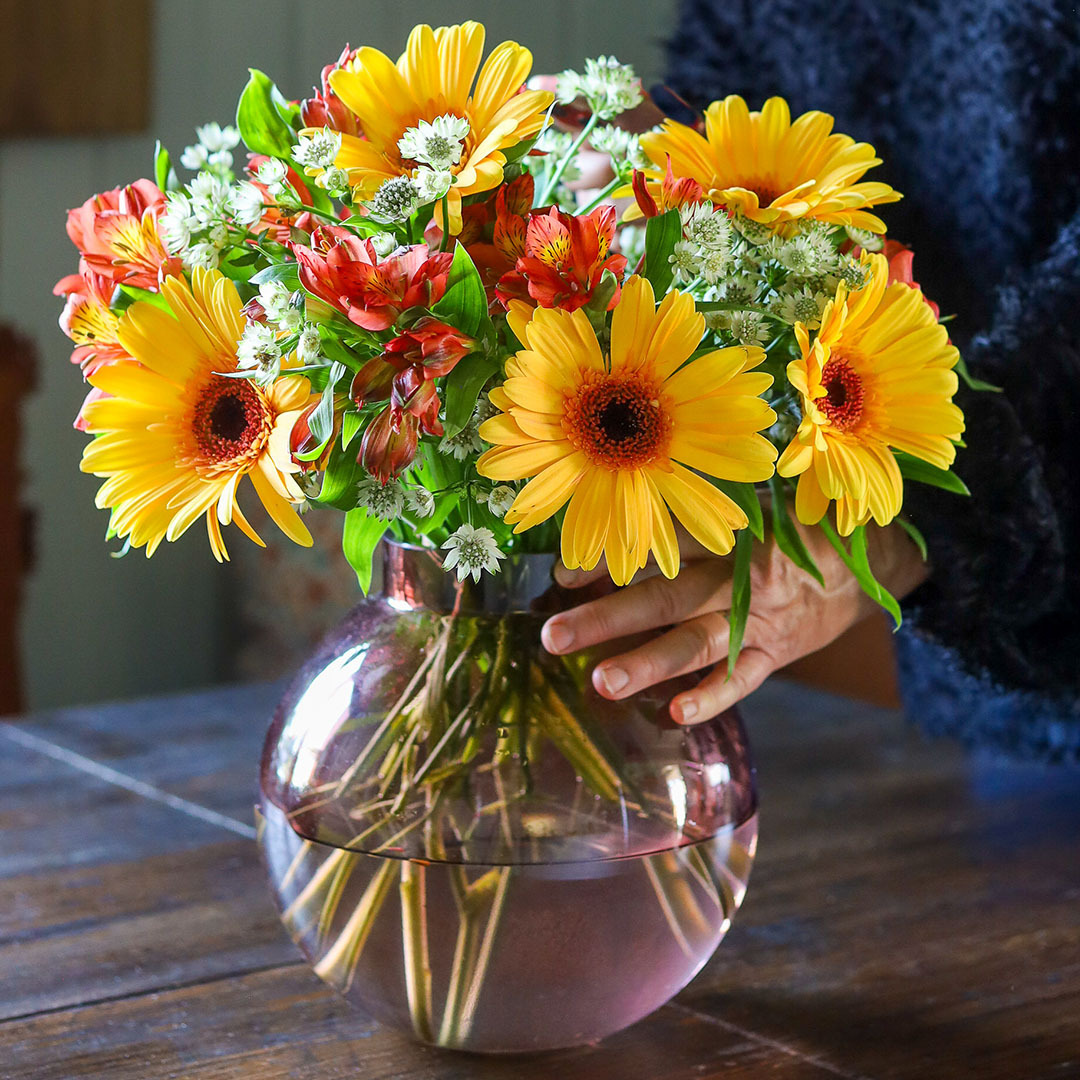 Alstromeria, gerbera og stjerneskjerm på bordet