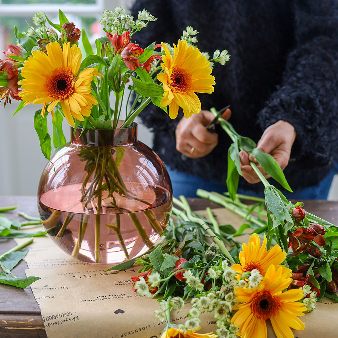 Alstromeria, gerbera og stjerneskjerm snittes og settes opp i vase