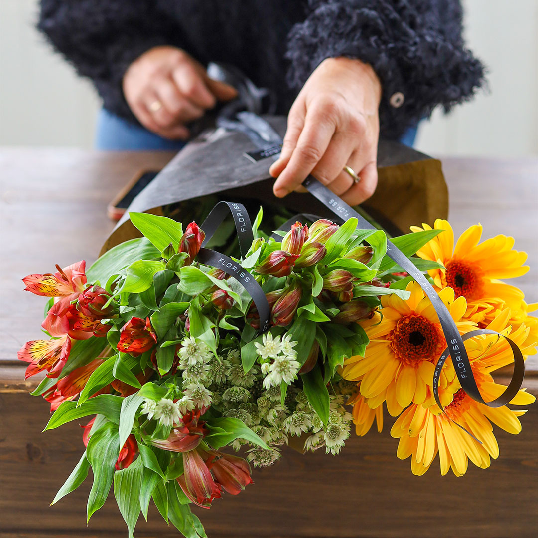 Alstromeria, gerbera og stjerneskjerm i forpakning