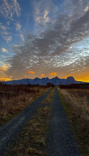 Søstrene en tidlig morgen. (Foto: Monica Sjåvik)