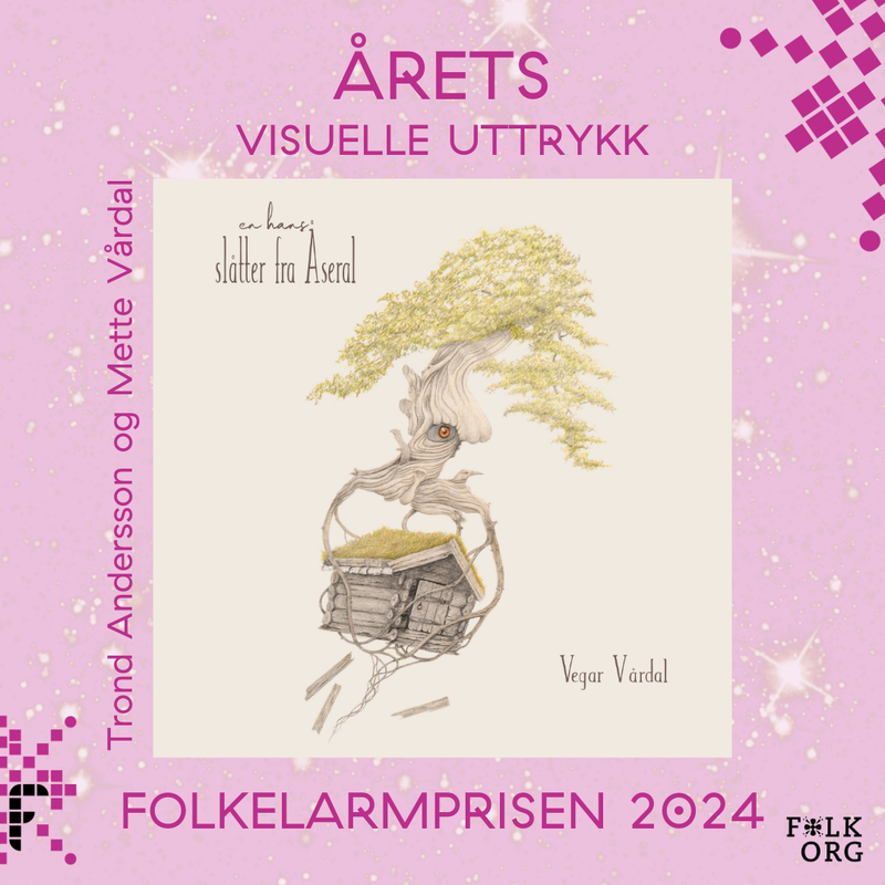 Årets visuelle uttrykk - folkelarmprisen 2024