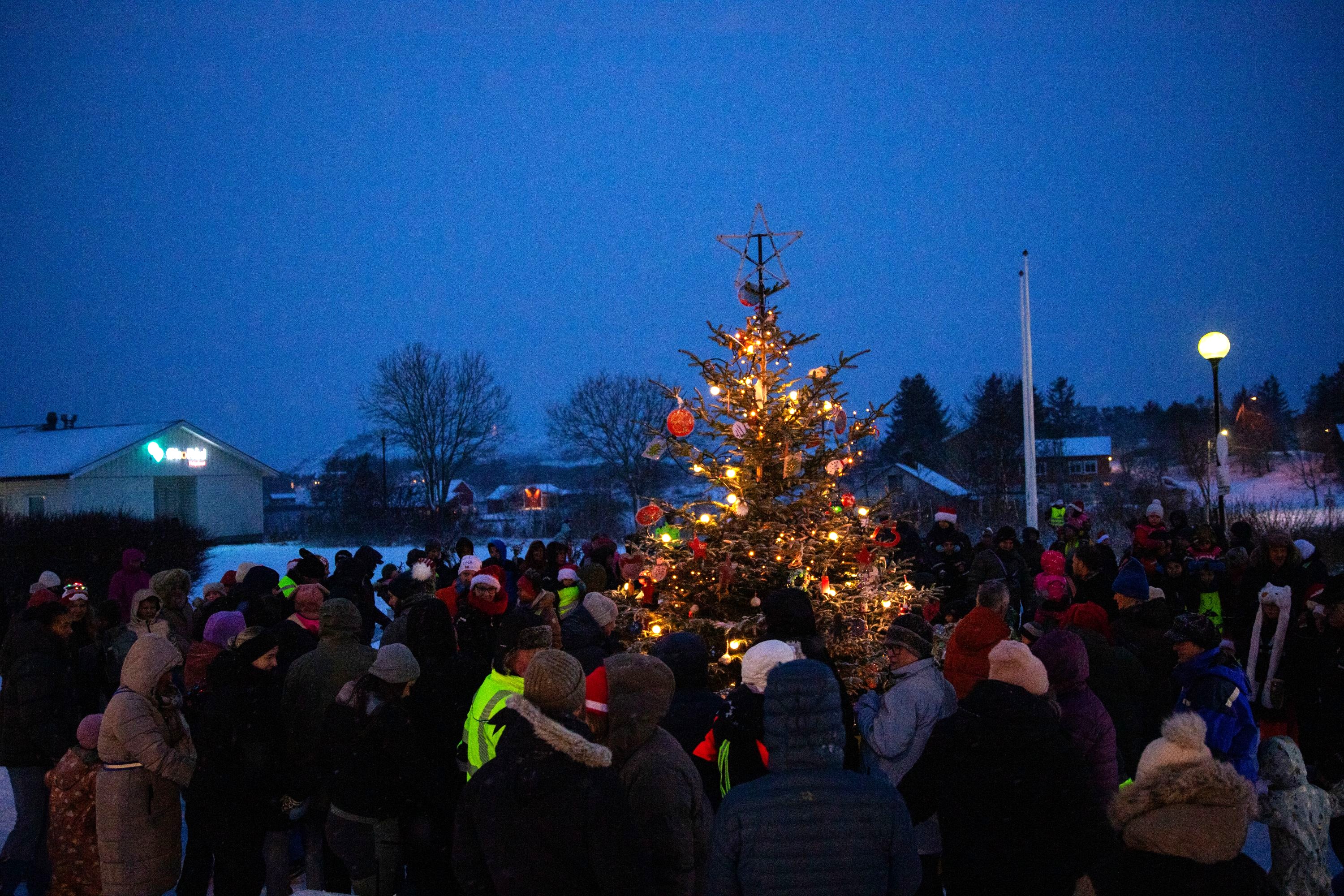 Foto Pål Nikolaisen