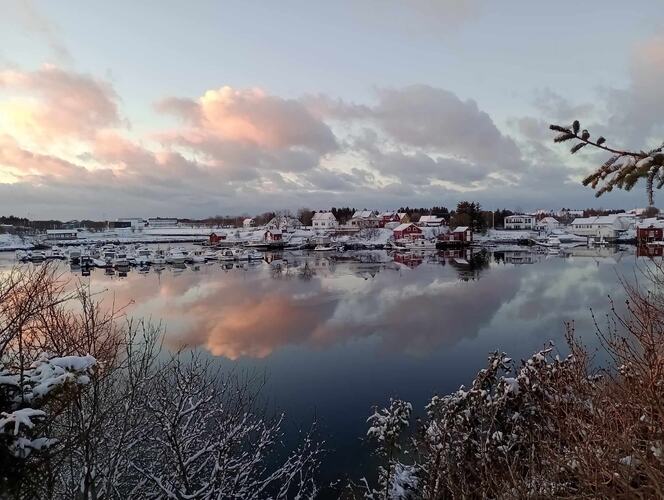 Båthavna i Herøysundet på en stille dag. (Foto: Tom Wennemo)