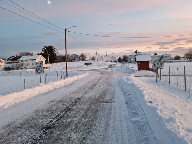 Fint januarlys. (Foto: Elsa Jakobsen)