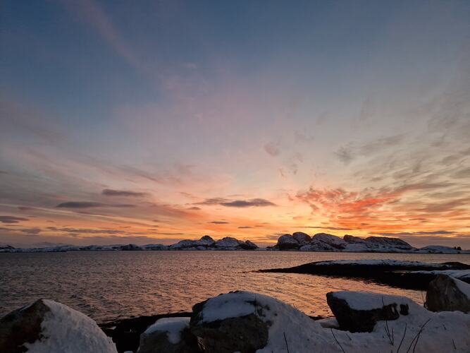 Fint januarlys. (Foto: Elsa Jakobsen)