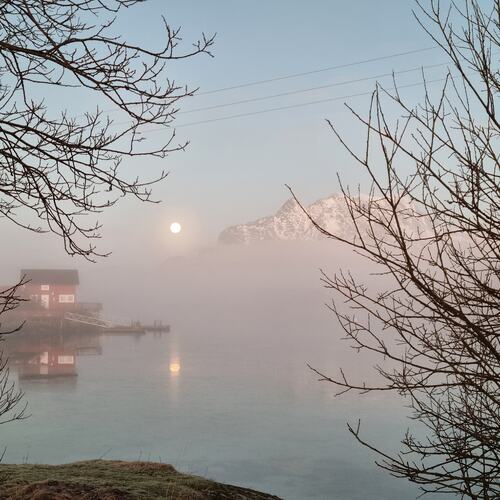 Forhekset av månen. (Foto: Gjertrud Aune Færøy)