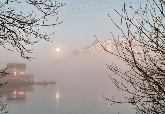 Forhekset av månen. (Foto: Gjertrud Aune Færøy)