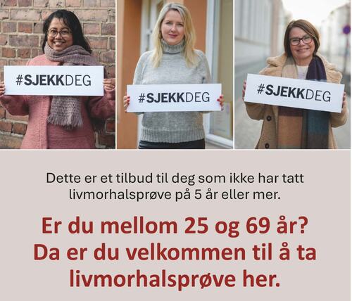 Sjekk deg 2025