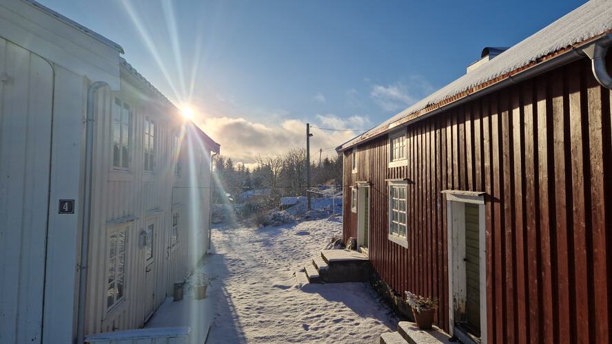 Februarsola. (Foto: Elsa Jakobsen)