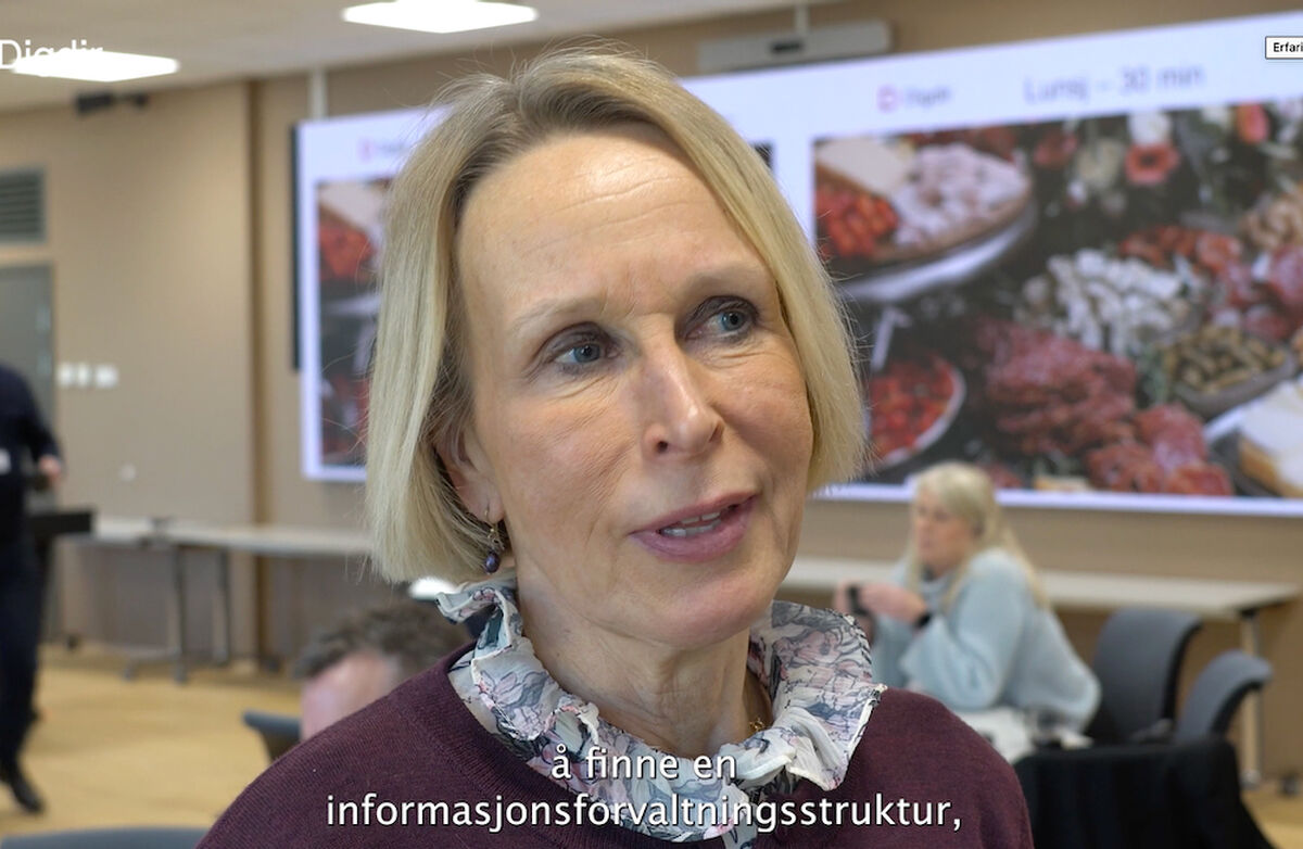 Bildet viser Ellen Margrethe Carlsen, avdelingsdirektør i Helsedirektoratet, var en av de som ble intervjuet. Foto: Klipp fra video