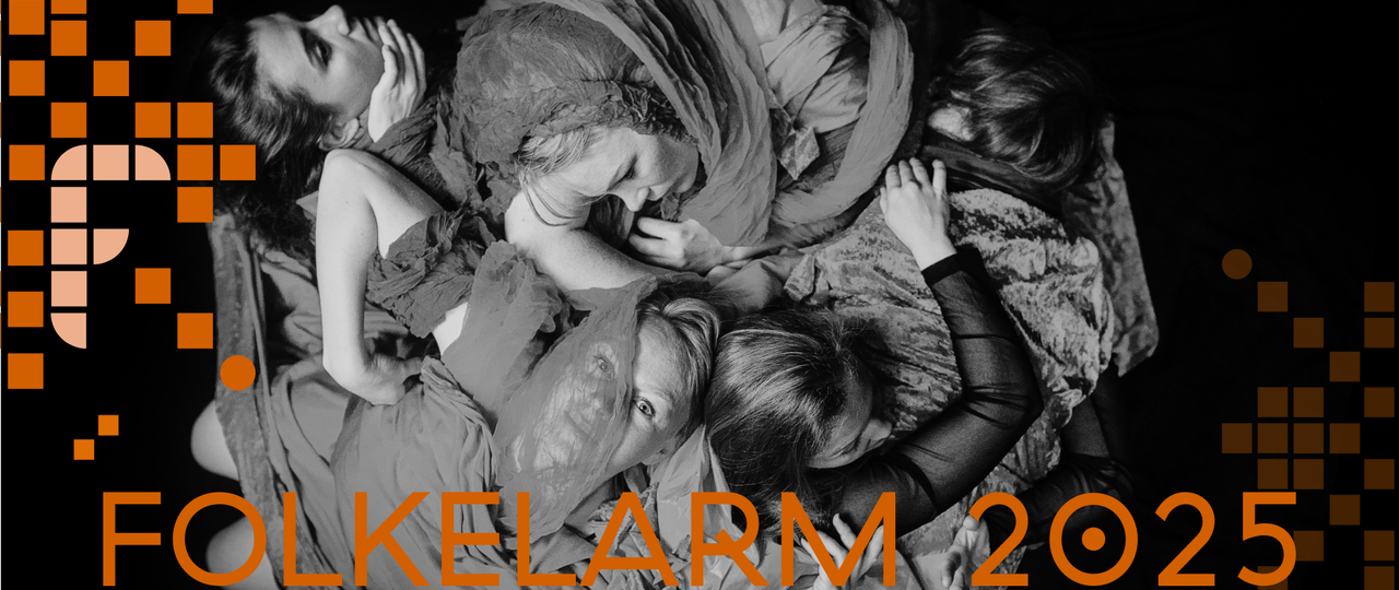 Folkelarmartist 2025 - WEB Header _ MAMELUKK