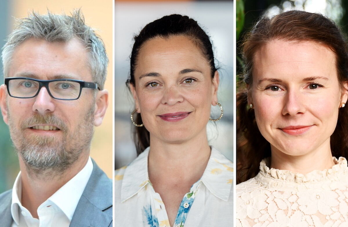 Bildemosaikk satt sammen med Liv Dingsør i Digital Norway, Onar Aanestad i ASVL og Christine Schaanning i Arbeid & Inkludering.