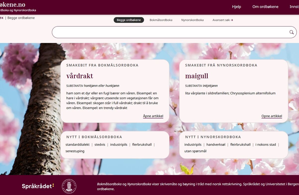 Skjermdump av forsida på ordbøkene.no
