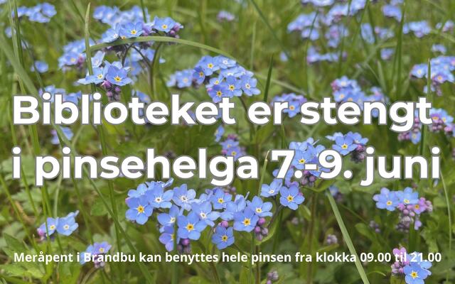 Pinsestengt på biblioteket, men meråpent er åpent!