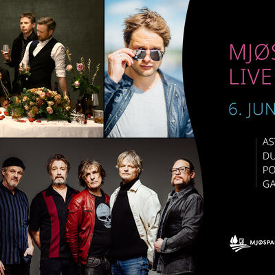 Mjøsparken Live 2026 artister
