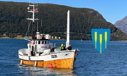 Skøyta Havung