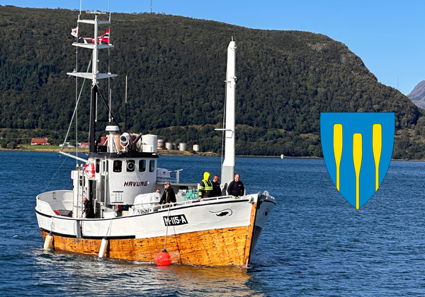 Skøyta Havung