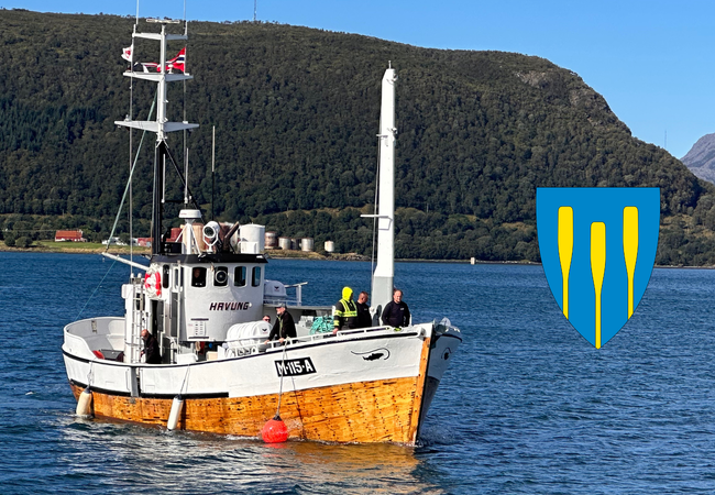 Skøyta Havung