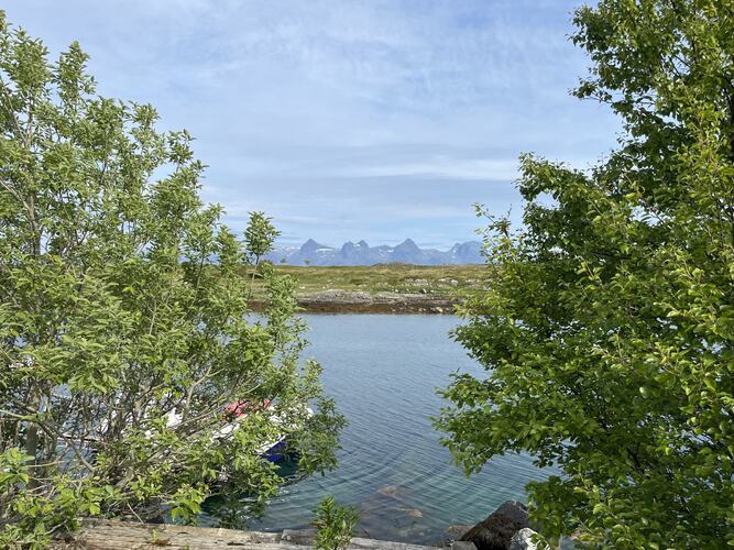 Sommerstemning. (Foto: Elbjørg Larsen)