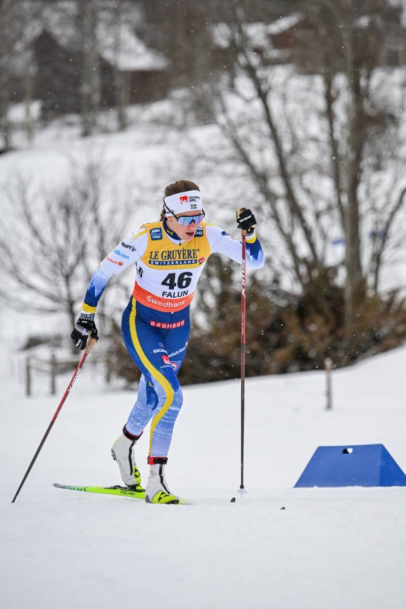 Andersson150225la26574.JPG