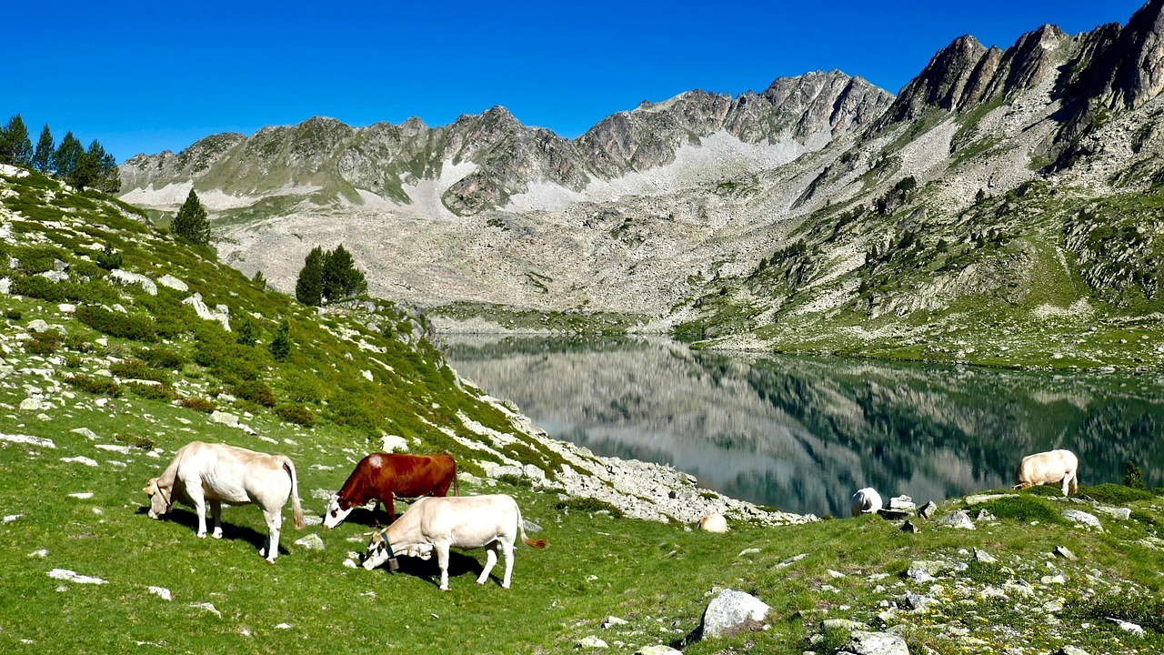 prendre le frais dans les pyrénées