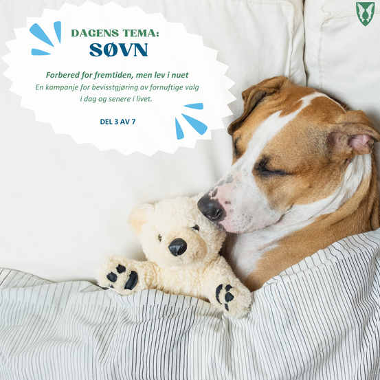 På bildet er det en hund som ligger i senga og i lag med en bamse. Teksten er dagens tema: søvn. Forbered for fremtiden, men lev i nuet. En kampanje for bevisstgjøring av fornuftige valg i dag og senere i livet. Del 3 av 7.