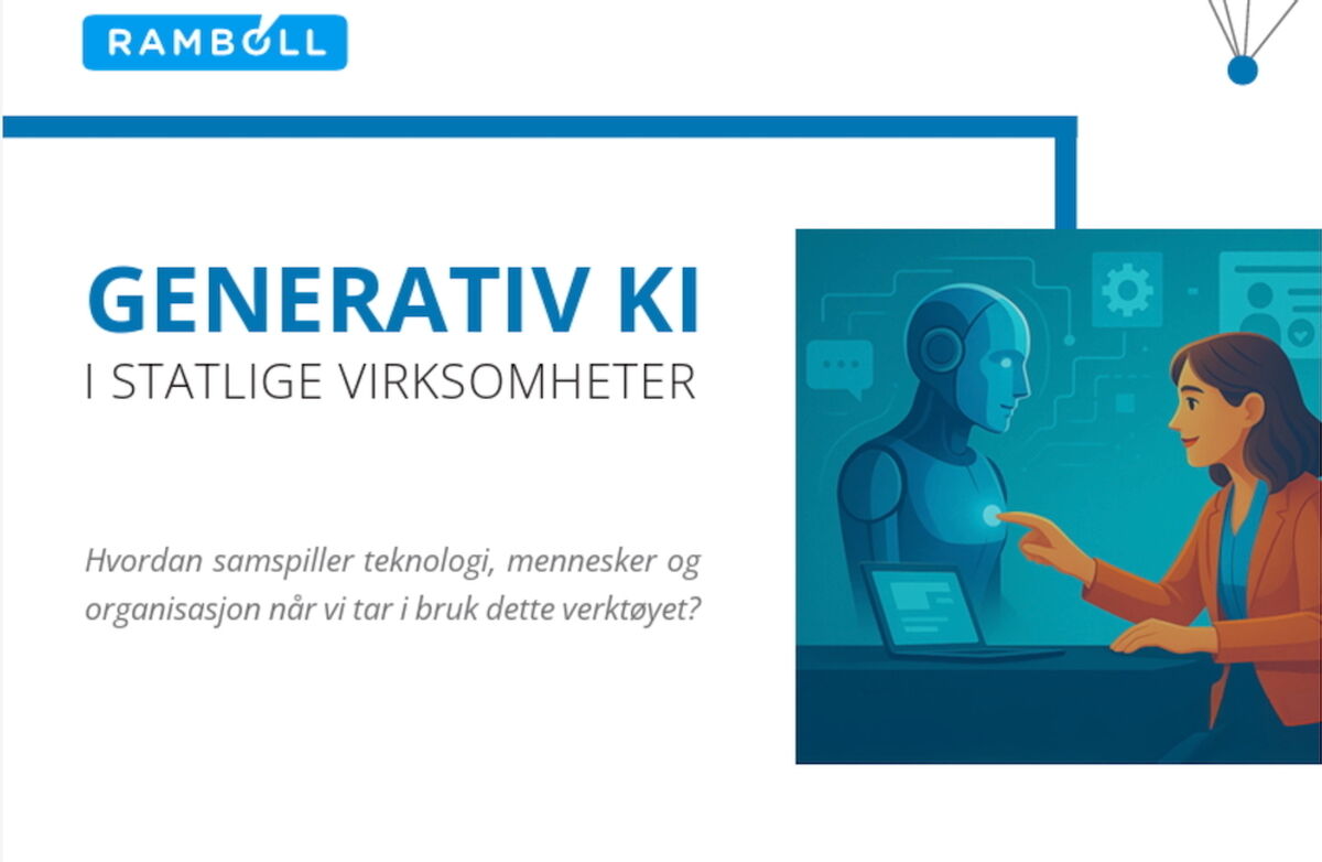 Fra rapp forside