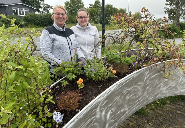 Blomstrende innsatas av Herøy Asvo_1