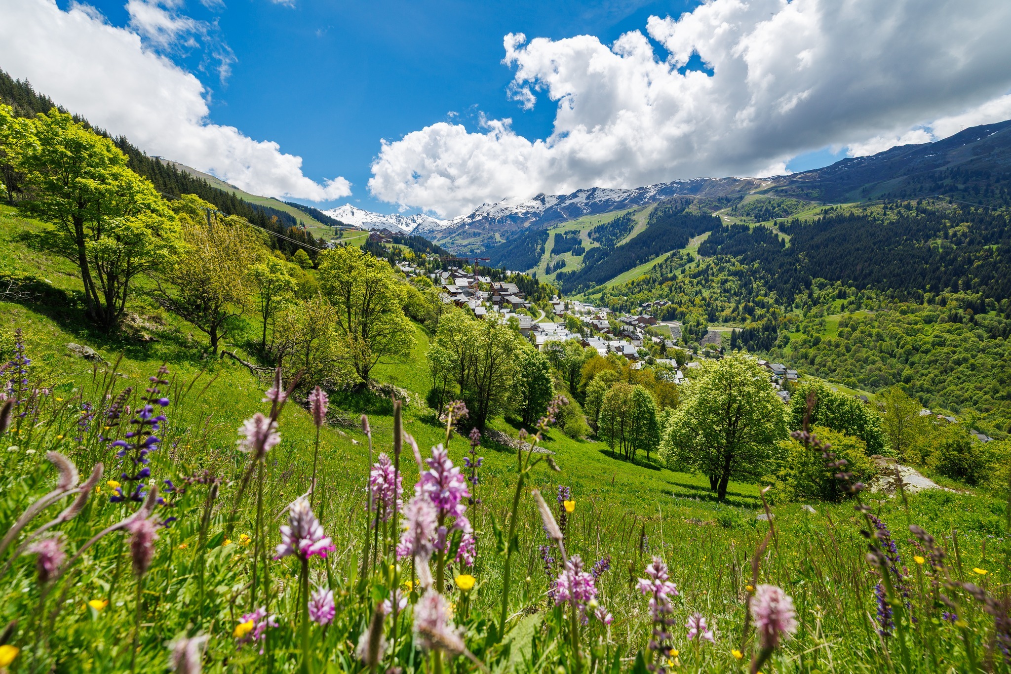 MONT3.jpg