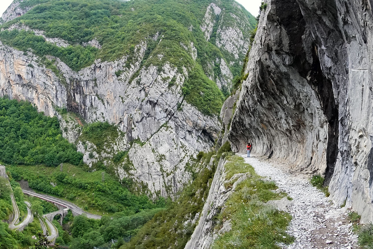 chemin-mature.jpg