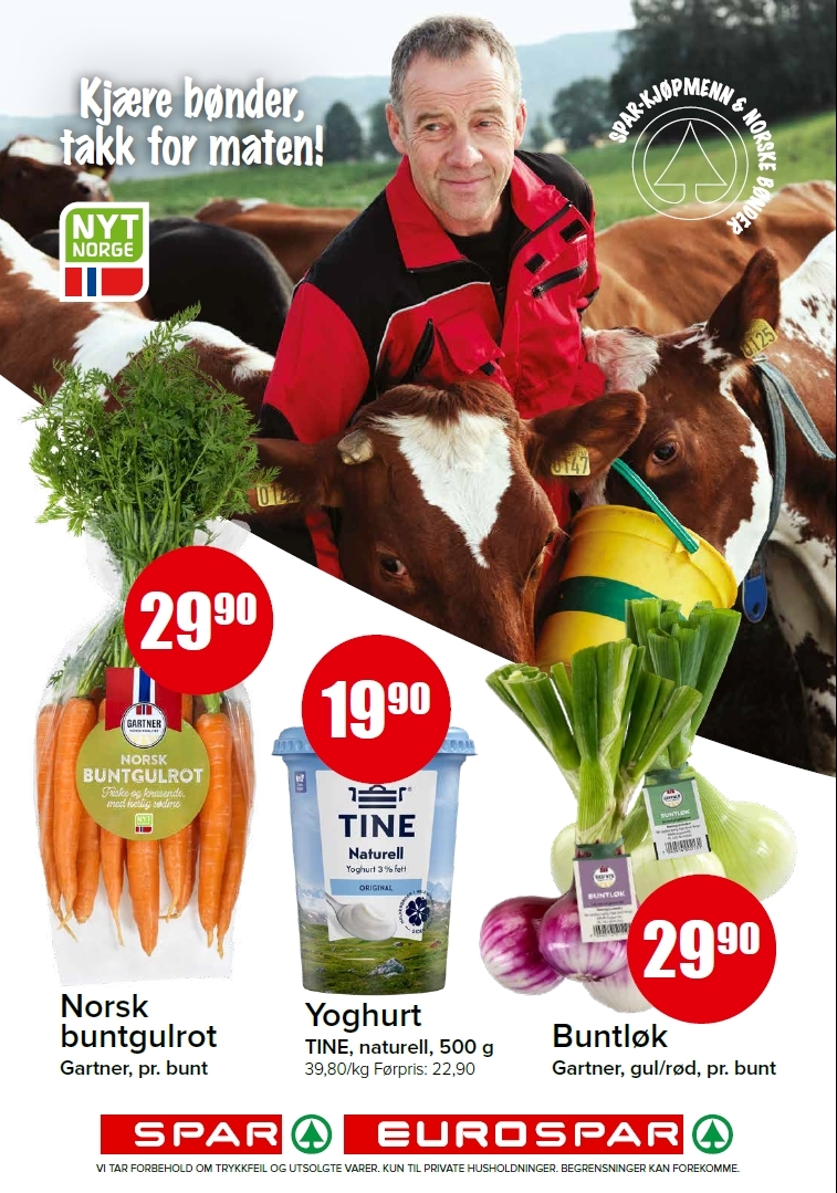 Spar 29-3.jpg